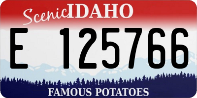 ID license plate E125766