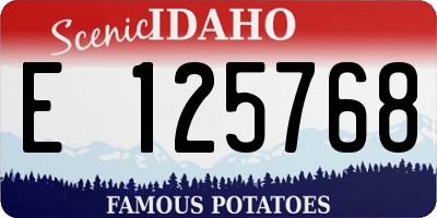 ID license plate E125768