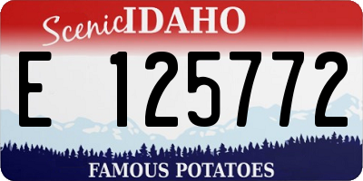 ID license plate E125772