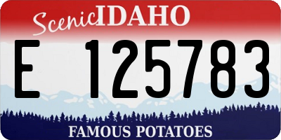 ID license plate E125783