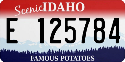 ID license plate E125784