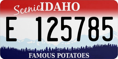 ID license plate E125785