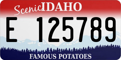 ID license plate E125789