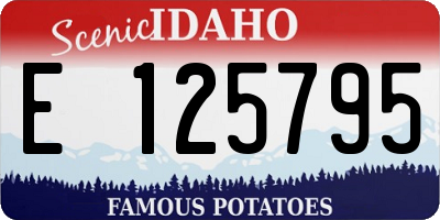 ID license plate E125795