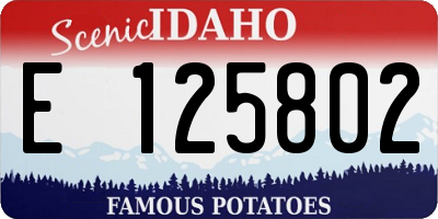 ID license plate E125802