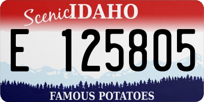 ID license plate E125805