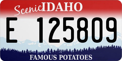 ID license plate E125809