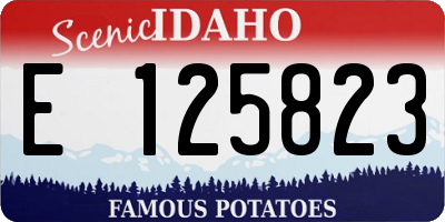 ID license plate E125823