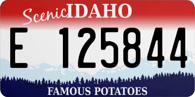 ID license plate E125844