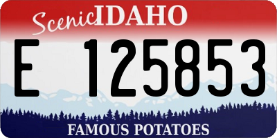 ID license plate E125853