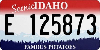 ID license plate E125873