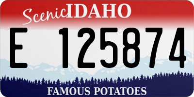 ID license plate E125874