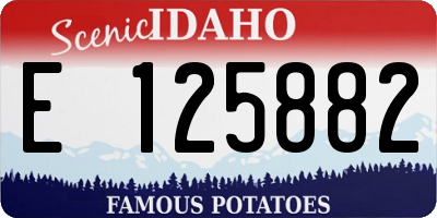 ID license plate E125882