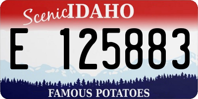 ID license plate E125883