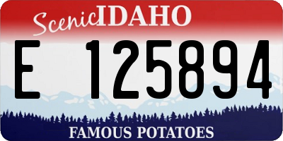 ID license plate E125894