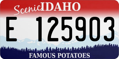 ID license plate E125903