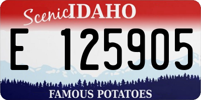 ID license plate E125905