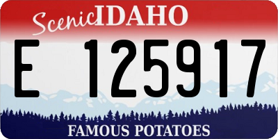 ID license plate E125917