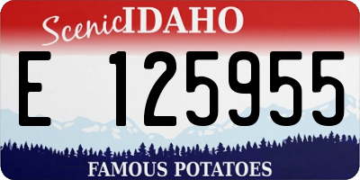 ID license plate E125955