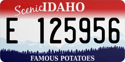 ID license plate E125956
