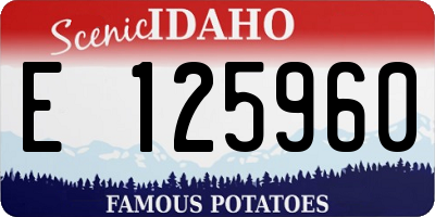 ID license plate E125960