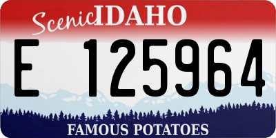 ID license plate E125964