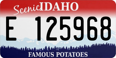 ID license plate E125968