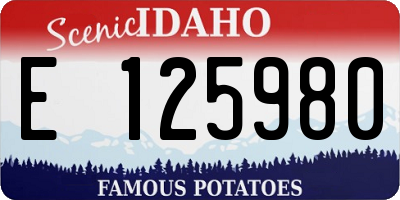 ID license plate E125980
