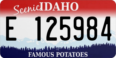ID license plate E125984