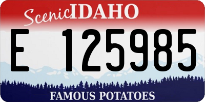ID license plate E125985