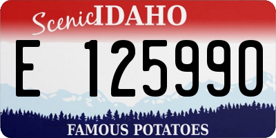 ID license plate E125990