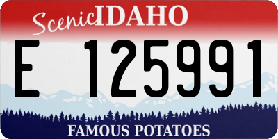 ID license plate E125991