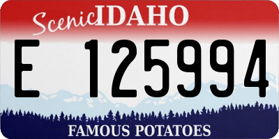ID license plate E125994