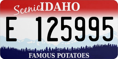 ID license plate E125995