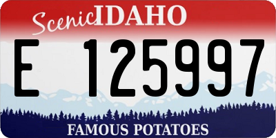 ID license plate E125997