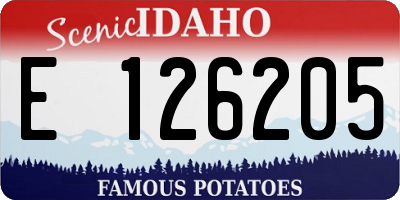 ID license plate E126205