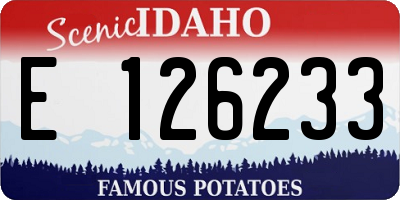 ID license plate E126233