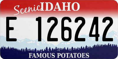 ID license plate E126242