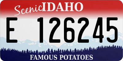 ID license plate E126245