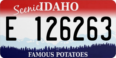 ID license plate E126263