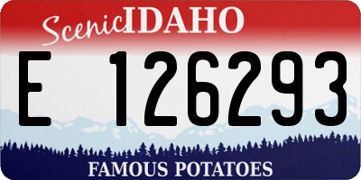 ID license plate E126293