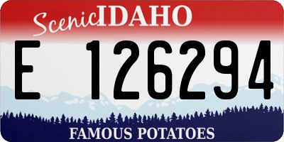ID license plate E126294