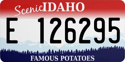 ID license plate E126295