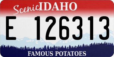ID license plate E126313