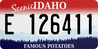 ID license plate E126411