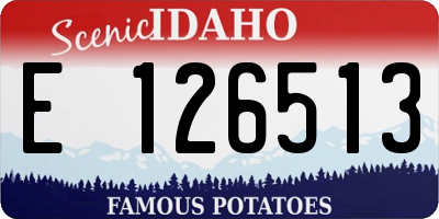 ID license plate E126513
