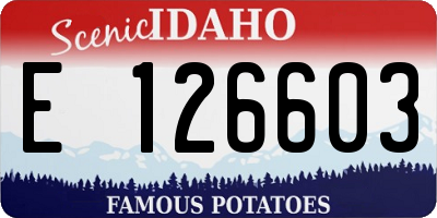 ID license plate E126603