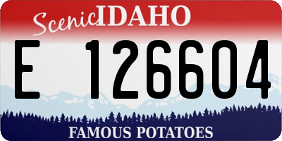 ID license plate E126604