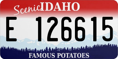 ID license plate E126615