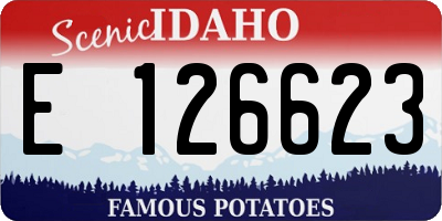 ID license plate E126623